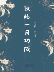 仅此一月功成仅此一月功成